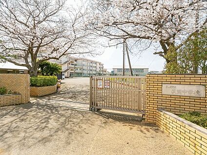 茅ヶ崎市立萩園中学校 91m