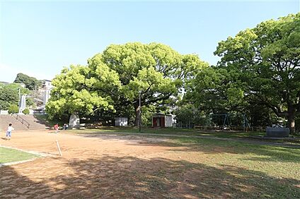 谷公園 1023m