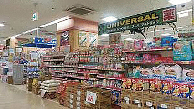 ユニバーサルドラッグストア 江戸川駅前店(約653m)