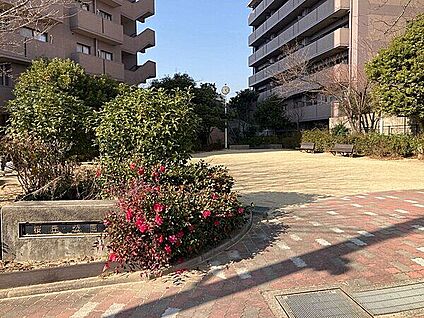 桜丘公園 1357m