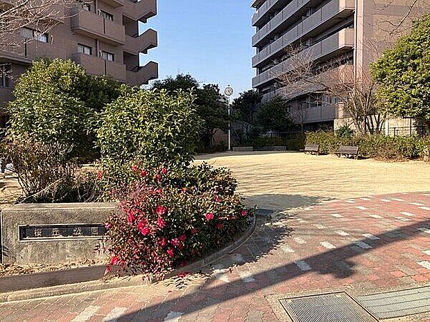 桜丘公園(約1,357m)