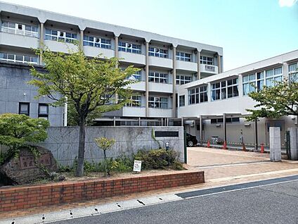 神戸市立鷹匠中学校 1261m