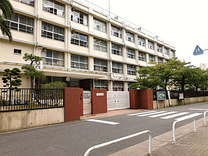 大阪市立井高野中学校 534m