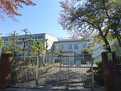 横浜市立南が丘中学校 1261m
