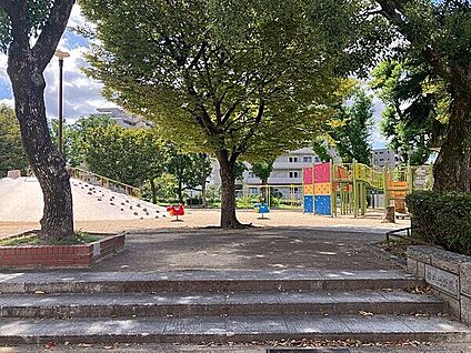 福井池公園 556m
