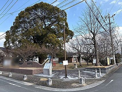 くすの木公園 606m
