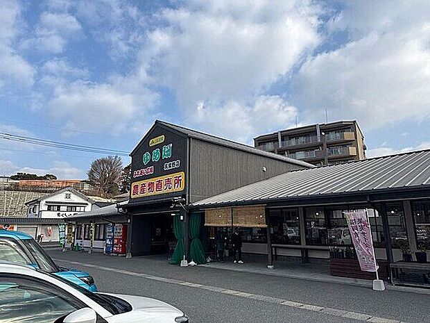ゆめ畑 筑紫野店(約1,690m)