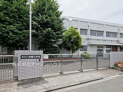 横浜市立神橋小学校 249m