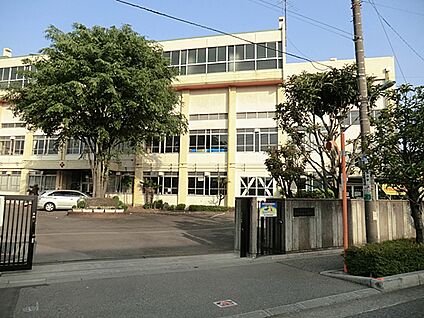 川口市立十二月田小学校 419m