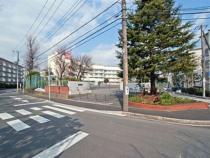 横浜市立瀬戸ケ谷小学校 893m
