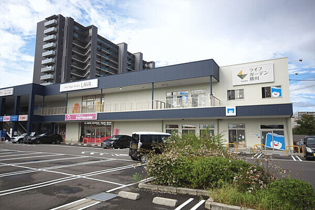 ライフガーデン勝川(約1,224m)