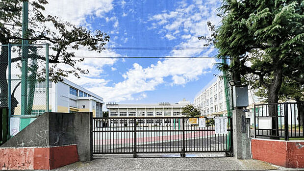墨田区立寺島中学校(約91m)