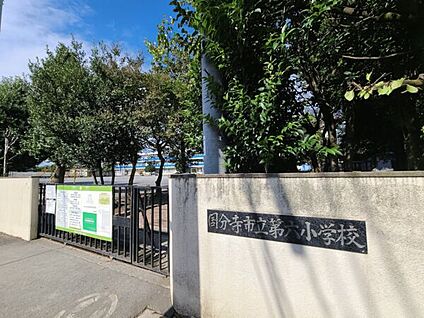国分寺市立第六小学校 1084m