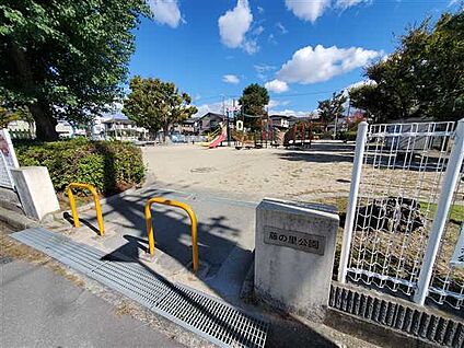 藤の里公園 719m