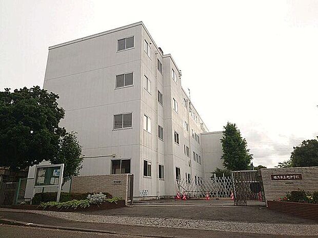 横浜市立旭中学校(約524m)