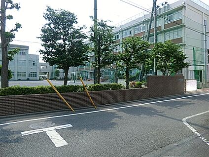 江戸川区立松江第二中学校 1481m