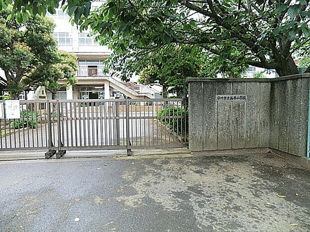 市川市立柏井小学校(約1,224m)