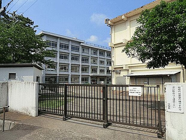藤沢市立藤沢小学校(約287m)