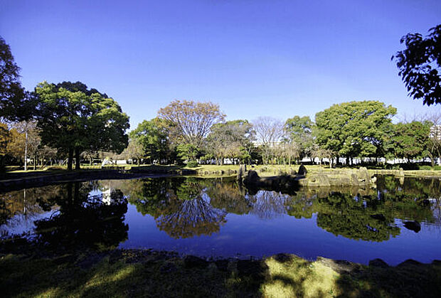 大江川緑地公園(約1,288m)