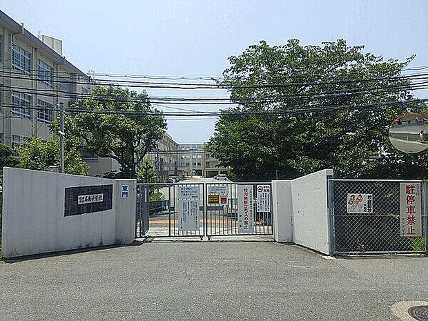 福岡市立名島小学校(約810m)