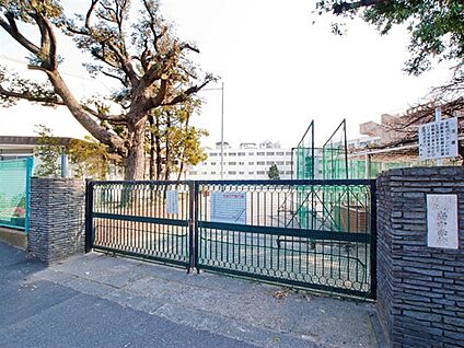 横浜市立南中学校 983m