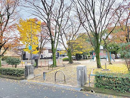 穴太公園 559m