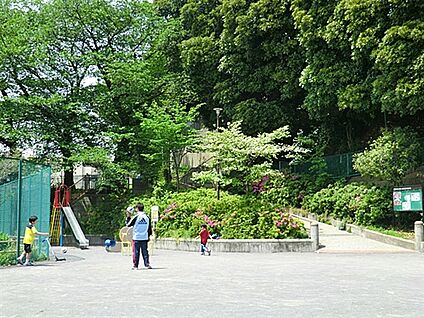 栗田谷公園 502m