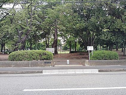 一本松公園 1011m