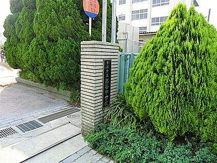 市川市立高谷中学校 1536m
