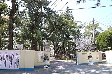 福岡市立百道中学校 203m