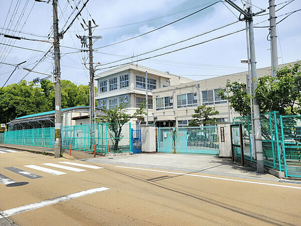 堺市立八下中学校(約1,906m)