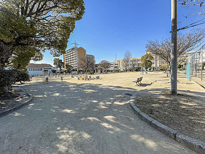 高田公園 912m