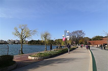 大濠公園 1136m