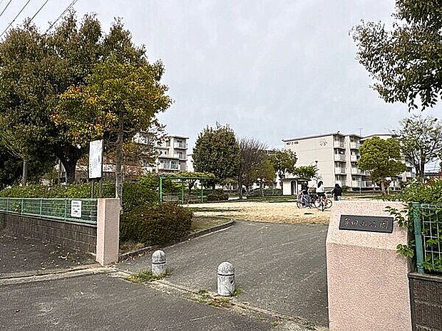 牟田山公園（約314m）