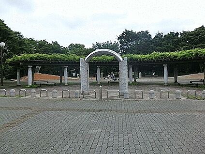 大泉中央公園 501m
