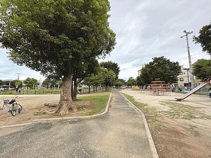南沖公園 843m