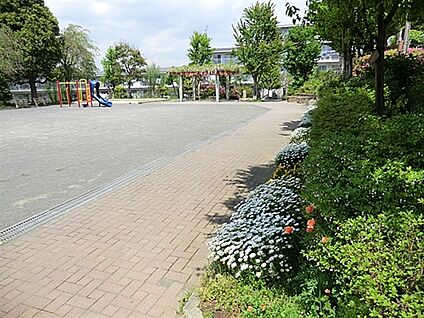 平戸台公園 1469m