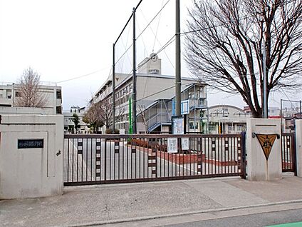 横浜市立市場小学校 613m