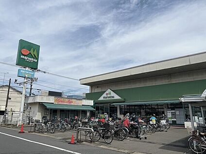 松戸市立古ケ崎小学校 528m