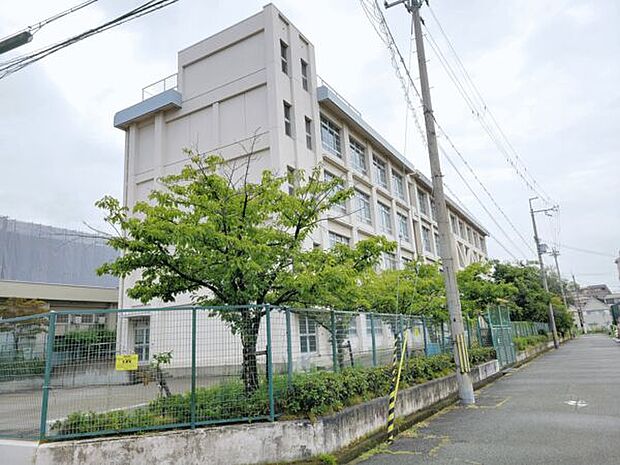 尼崎市立武庫庄小学校（約952m）