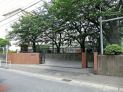 藤沢市立新林小学校 1040m