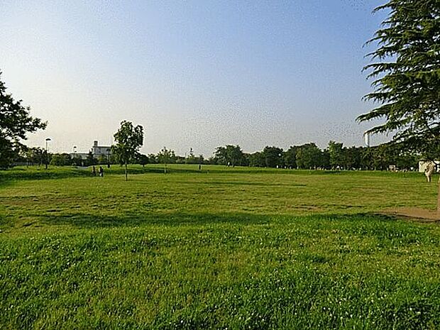 中川公園(約637m)