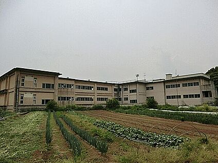 流山市立東部中学校 402m