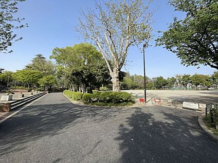 杉並区立馬橋公園 695m