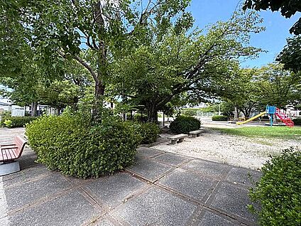 田隈北公園 217m