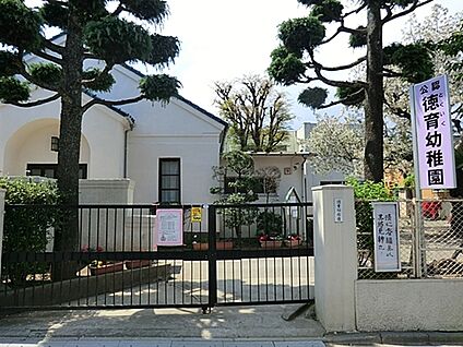 徳育幼稚園 532m