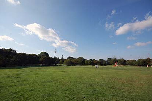 和光樹林公園（約560m）