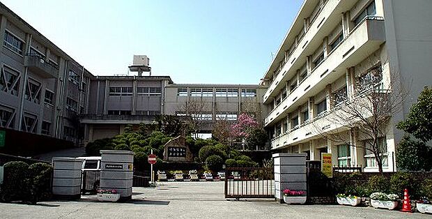 乙川小学校（約800m）