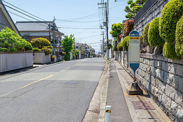 桜小路(バス停)(約80m)
