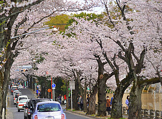 松戸新八柱ジャスタウン～第一期販売～注文住宅仕様の分譲住宅 その他